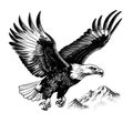 eagle flying ,sketch vector graphics monochrome illustration , Engraving