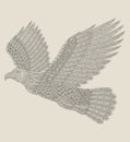 Eagle flying on the sky, Vintage engraving drawing style illustration Royalty Free Stock Photo