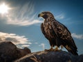 An eagle with golden feathers and blue eyes standing on a rock, with sunset background, generative ai Royalty Free Stock Photo
