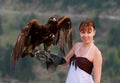 Eagle on a hand Royalty Free Stock Photo