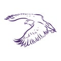 Eagle - hand drawn vector llustration realistic sketch