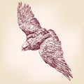 Eagle hand drawn vector llustration sketch Royalty Free Stock Photo