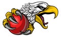 Eagle Hawk Cricket Ball Cartoon Sports Team Mascot Royalty Free Stock Photo