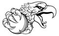 Eagle Hawk Cricket Ball Cartoon Sports Team Mascot Royalty Free Stock Photo