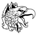 Eagle Hawk Face Head Tearing Through Background Royalty Free Stock Photo