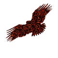 Eagle hawk golden eagle bird spiral pattern color silhouette ani Royalty Free Stock Photo