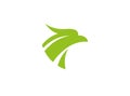 Eagle or hawk green Head for Logo