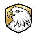 Eagle Hawk Logo Design The Patriot