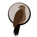 Eagle hawk .vector illustration, flat style ,profile