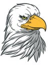 Eagle Head American Patriotic Hawk Bird