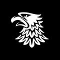 Eagle head in black background vector illustration