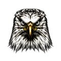 Eagle head black and white illustration on white background, digita