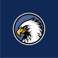 Eagle Head with Blue Background Logo Vector Design, Sign, Icon, Illustration Royalty Free Stock Photo