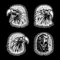 Eagle Head Collection on Black Background