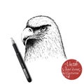 Eagle head hand drawn vector illustration Royalty Free Stock Photo