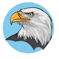 Eagle Head. Head of a proud eagle on a blue background.