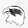 Eagle head illustration vector design for mascots