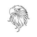 Eagle head logo Template, Hawk mascot graphic, Portrait of a bald eagle. Royalty Free Stock Photo