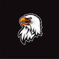 Eagle head logo vector Template on black background Royalty Free Stock Photo