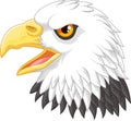 Eagle head mascot cartoon
