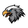 eagle head mascot logo vector design template modern style Royalty Free Stock Photo