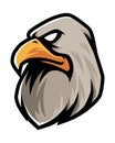 Eagle head mascot logo on a white background