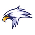 Eagle Head Mascot Sports Team Logo Template Design