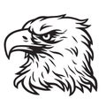 Eagle Head Mascot Vector Drawing Logo