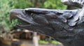 Eagle head metal statue located in Queretaro Mexico. Royalty Free Stock Photo