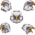 Eagle head, portrait, color 5, Royalty Free Stock Photo