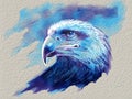 Eagle head portrait