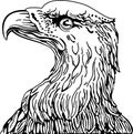 Eagle head Royalty Free Stock Photo