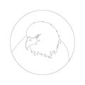 Eagle head, vector illustration,lining draw, Royalty Free Stock Photo