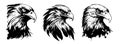 Eagle heads black and white vector. Silhouette svg shapes of eagle illustration. Royalty Free Stock Photo