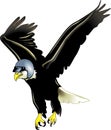 Eagle with helmet