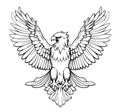 Eagle heraldic sketch hand drawn Vector illustration Birds