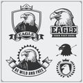 Eagle heraldry coat of arms. Labels, emblems and design elements for sport club. Royalty Free Stock Photo