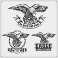 Eagle heraldry coat of arms. Labels, emblems and design elements for sport club. Royalty Free Stock Photo