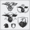 Eagle heraldry coat of arms. Labels, emblems and design elements for sport club. Royalty Free Stock Photo