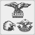 Eagle heraldry coat of arms. Labels, emblems and design elements for sport club.