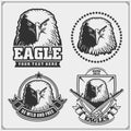 Eagle heraldry coat of arms. Labels, emblems and design elements for sport club. Royalty Free Stock Photo