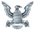 Eagle Heraldry Design