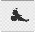 Eagle icon black color on transparent