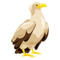 Eagle icon, cartoon style Royalty Free Stock Photo