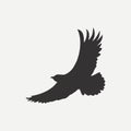 Eagle icon. Logo template. Bird of predator. Vector. Royalty Free Stock Photo