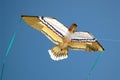 Eagle Kite Royalty Free Stock Photo