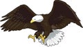 Eagle Landing Vector Illustration Royalty Free Stock Photo