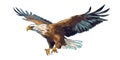 Eagle logo design. Image of flying eagle. Cute eagle emblem. Generated AI Royalty Free Stock Photo