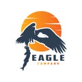 The eagle logo design preys on fish Royalty Free Stock Photo