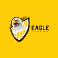 Eagle Head Sport Emblem Logo type